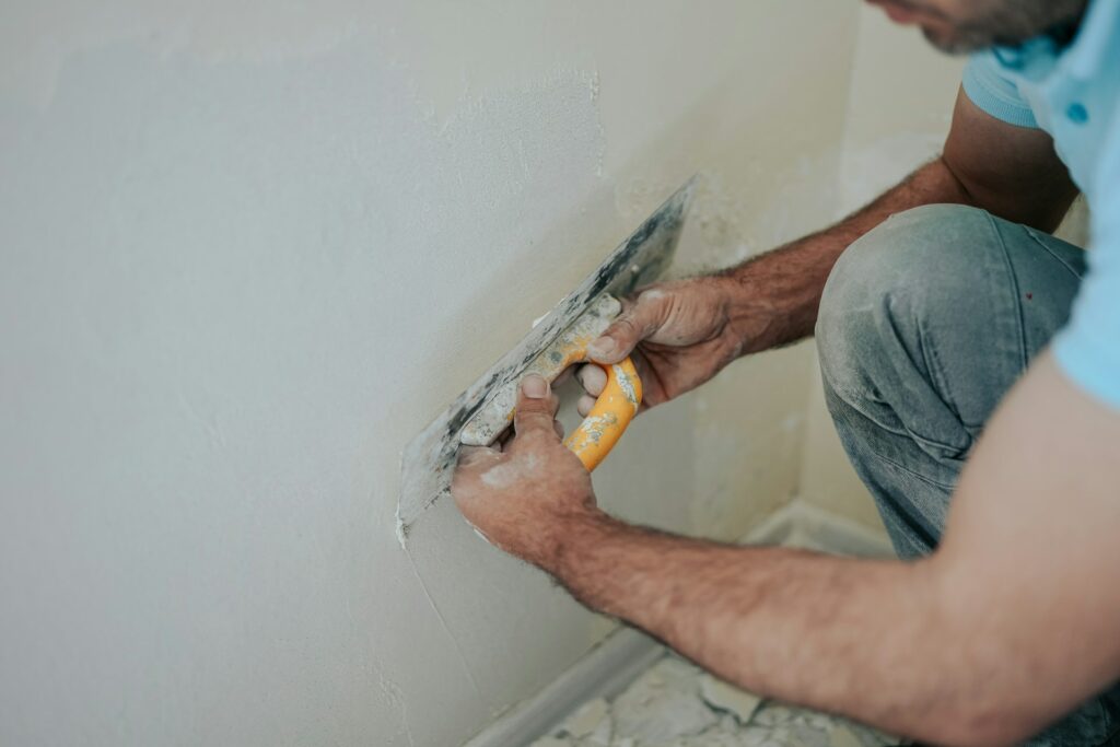 Mould in Rental Properties Mould in Rental Properties
